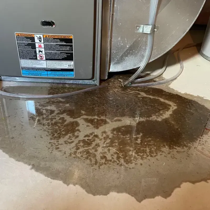 Appliance Leak Cleanup in Wesley Chapel, FL